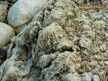 İsrail 'in Renkleri