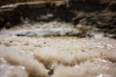 İsrail 'in Renkleri