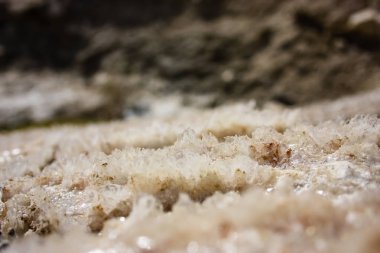 İsrail 'in Renkleri