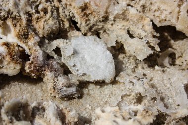 İsrail 'in Renkleri