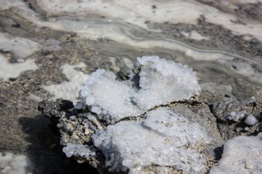 İsrail 'in Renkleri