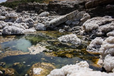 İsrail 'in Renkleri