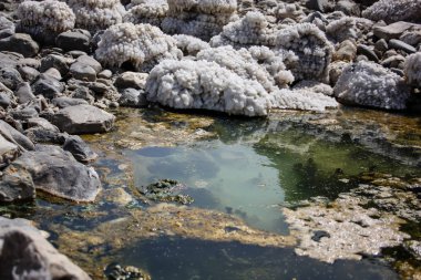 İsrail 'in Renkleri