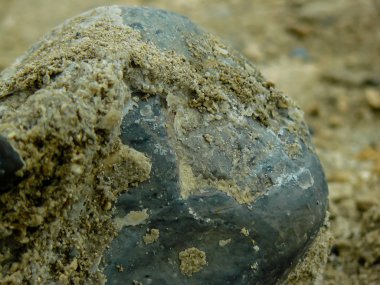 İsrail 'in Renkleri