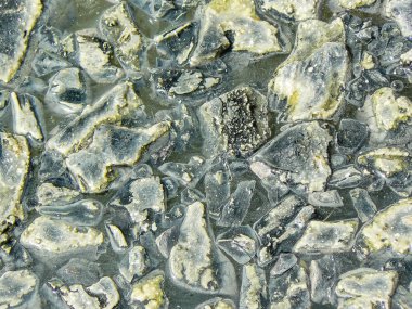 İsrail 'in Renkleri