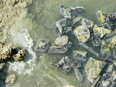 İsrail 'in Renkleri