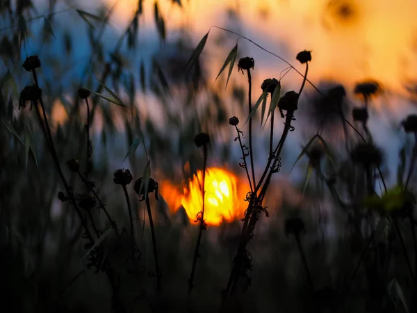 Couleurs d'Israël — Photo