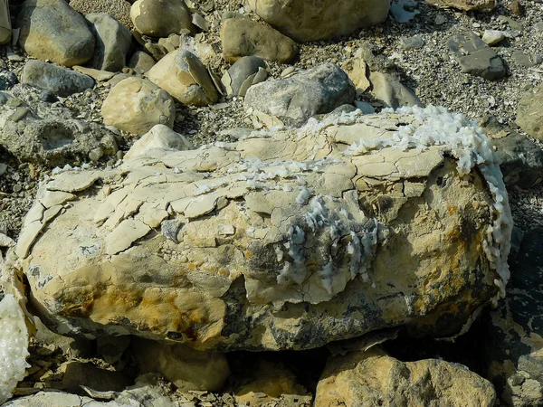 İsrail 'in Renkleri