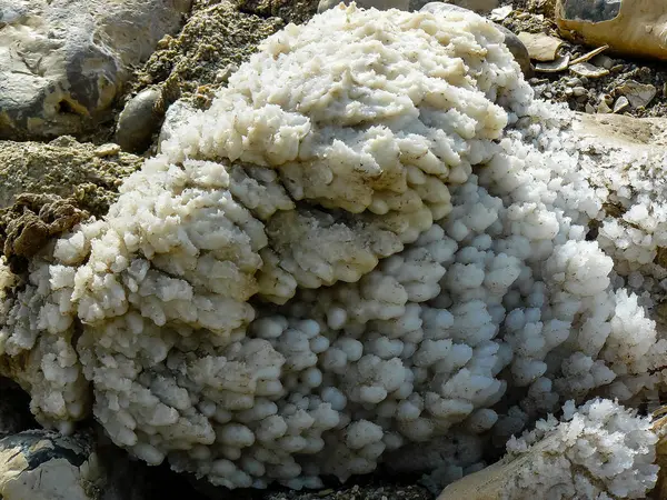 İsrail 'in Renkleri