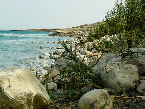 Cores de israel — Fotografia de Stock