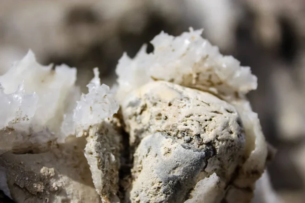 İsrail 'in Renkleri