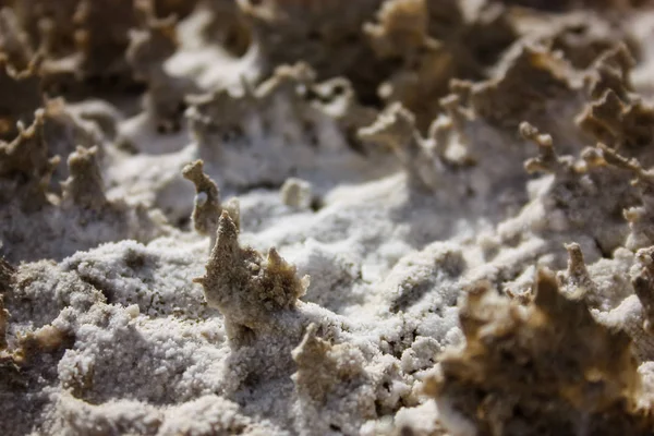 İsrail 'in Renkleri