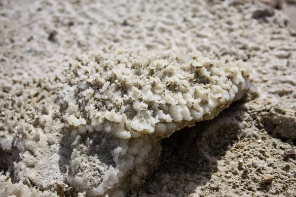 İsrail 'in Renkleri