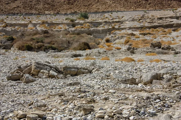 Couleurs d'Israël — Photo