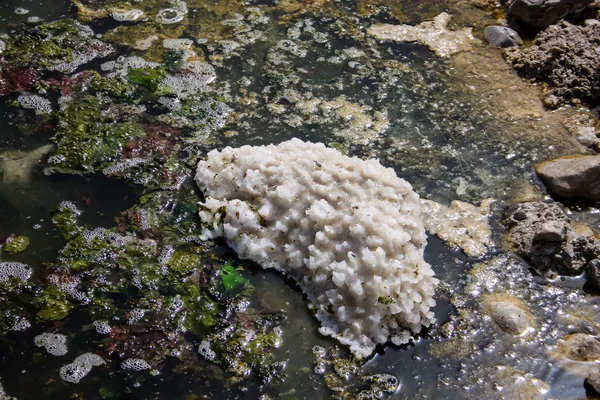 İsrail 'in Renkleri