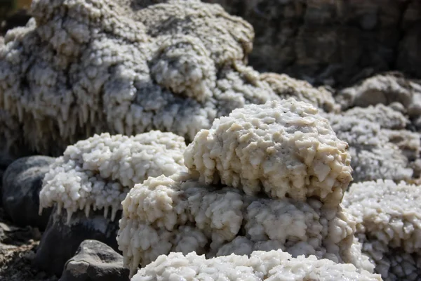 İsrail 'in Renkleri