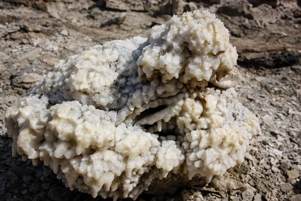 İsrail 'in Renkleri