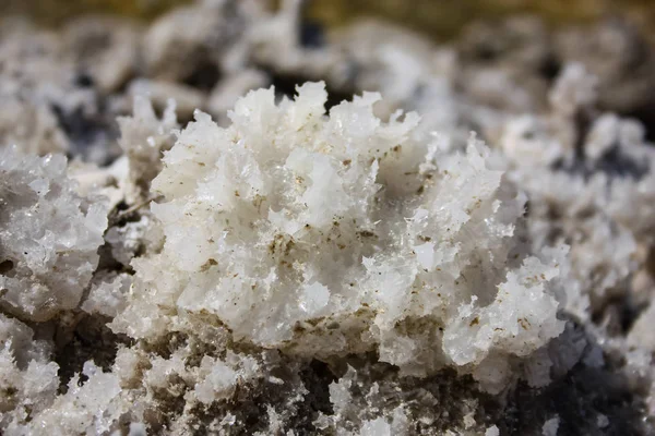 İsrail 'in Renkleri