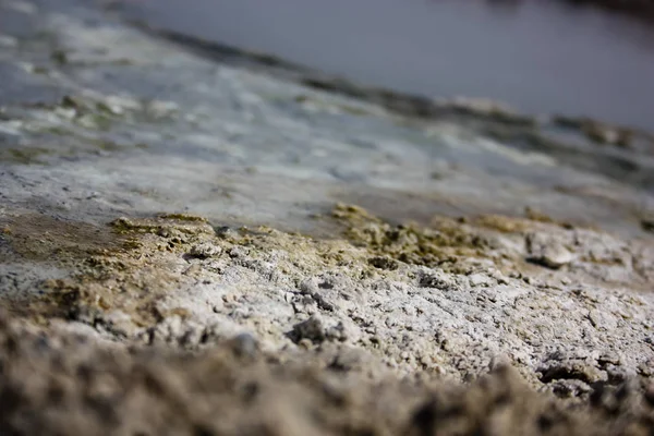 Cores de Israel — Fotografia de Stock