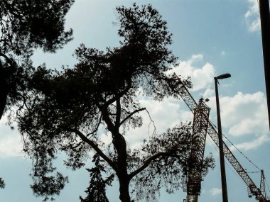 İsrail 'in Renkleri