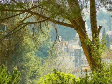 İsrail 'in Renkleri