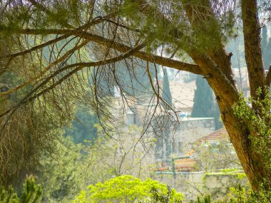 İsrail 'in Renkleri