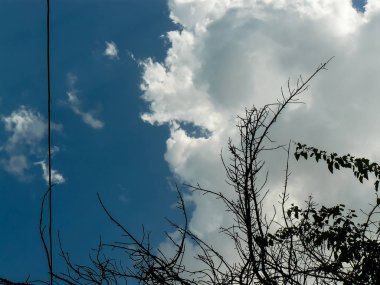 İsrail 'in Renkleri