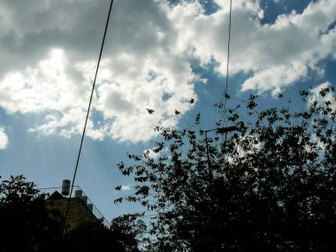 İsrail 'in Renkleri