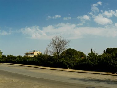 İsrail 'in Renkleri