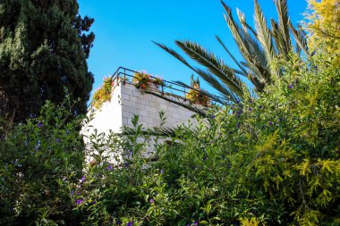 İsrail 'in Renkleri