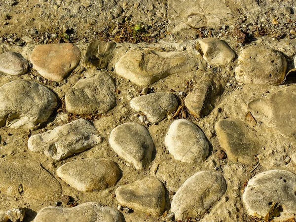 İsrail 'in Renkleri — Stok fotoğraf