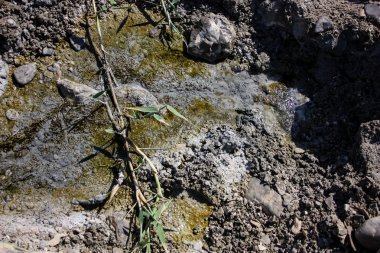 İsrail 'in Renkleri