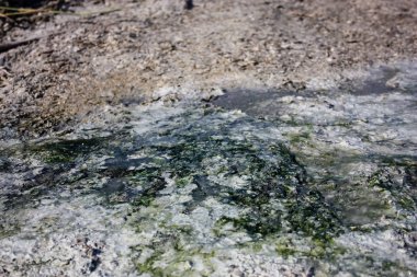 İsrail 'in Renkleri