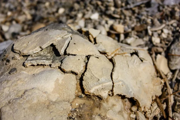 Cores de Israel — Fotografia de Stock