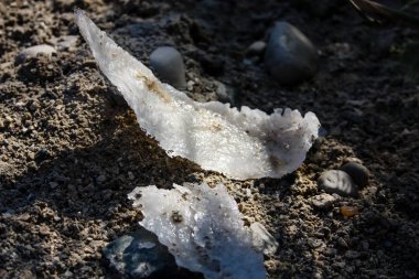 İsrail 'in Renkleri