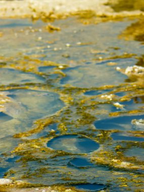 İsrail 'in Renkleri