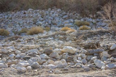 İsrail 'in Renkleri