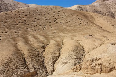İsrail 'in Renkleri