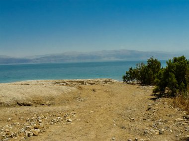 İsrail 'in Renkleri