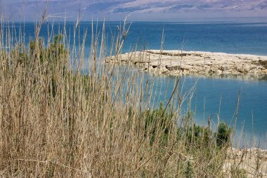 İsrail 'in Renkleri