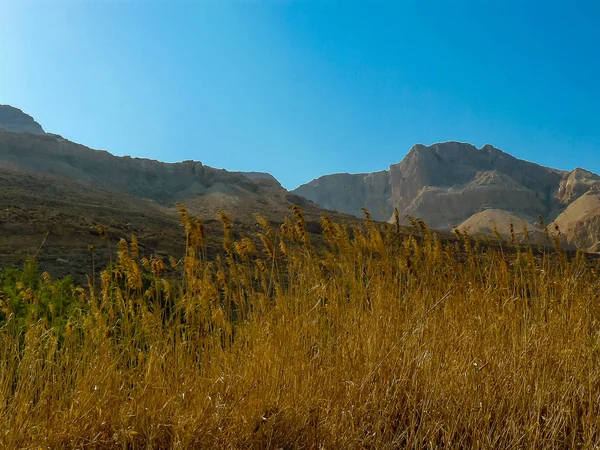 Cores de israel — Fotografia de Stock