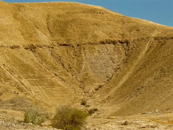 Couleurs d'Israël — Photo