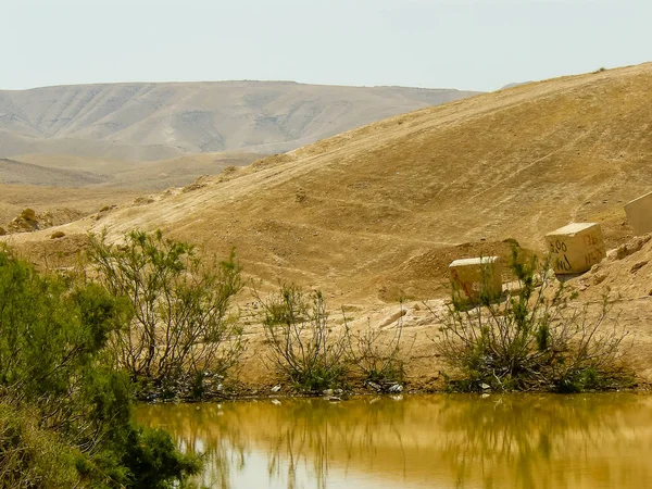 Couleurs d'Israël — Photo