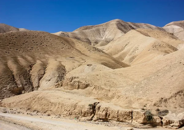 Barvy Izraele — Stock fotografie