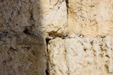 İsrail 'in Renkleri