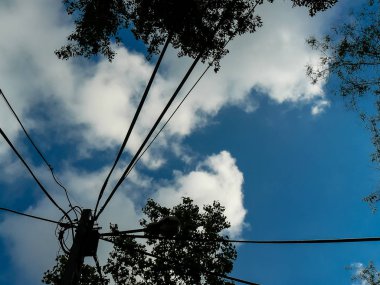 İsrail 'in Renkleri