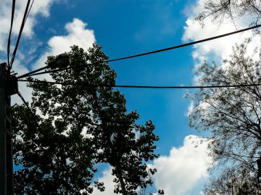 İsrail 'in Renkleri