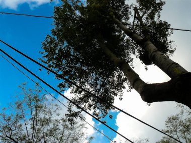 İsrail 'in Renkleri