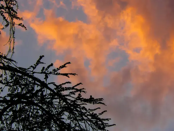 Farben des Israel — Stockfoto