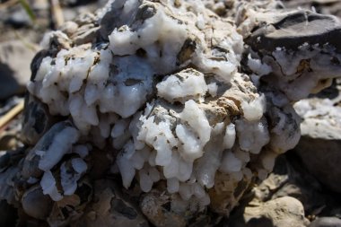 İsrail 'in Renkleri